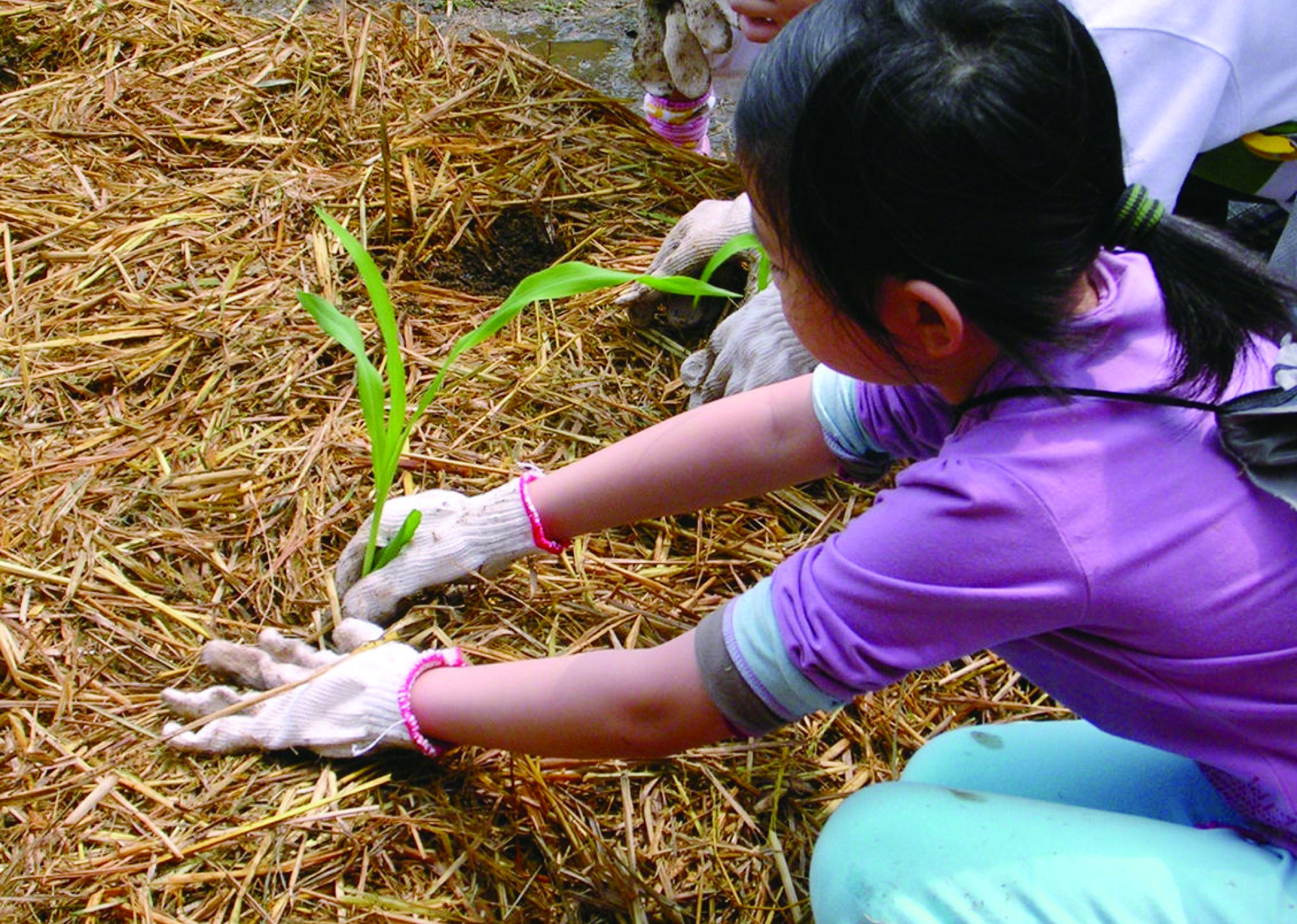 再生農業與培訓