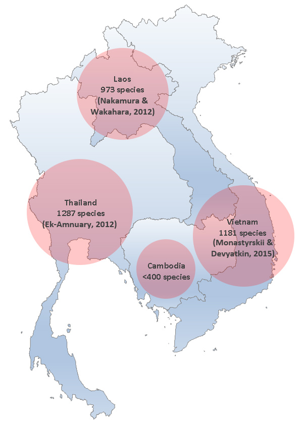 Butterfly species of Indochina