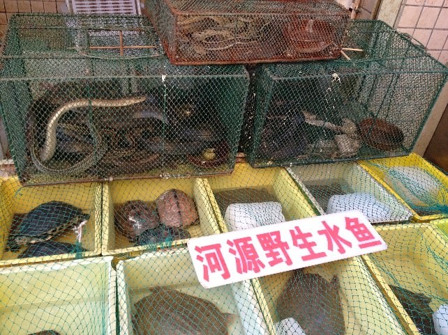 Examples of typical Asian wildlife markets (Photo Credit: Dr. Gunter Fischer / KFBG)