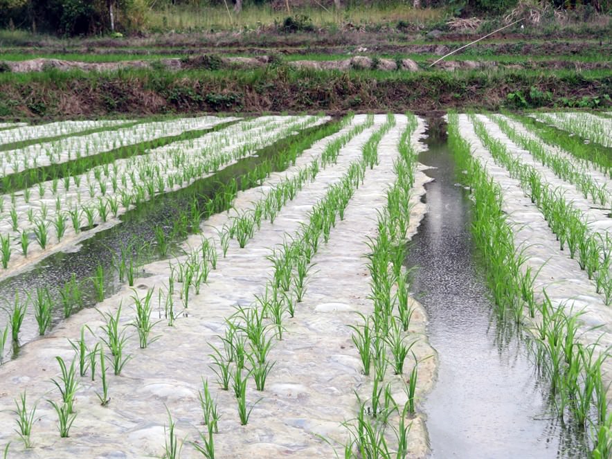 How to feed a booming population sustainably?