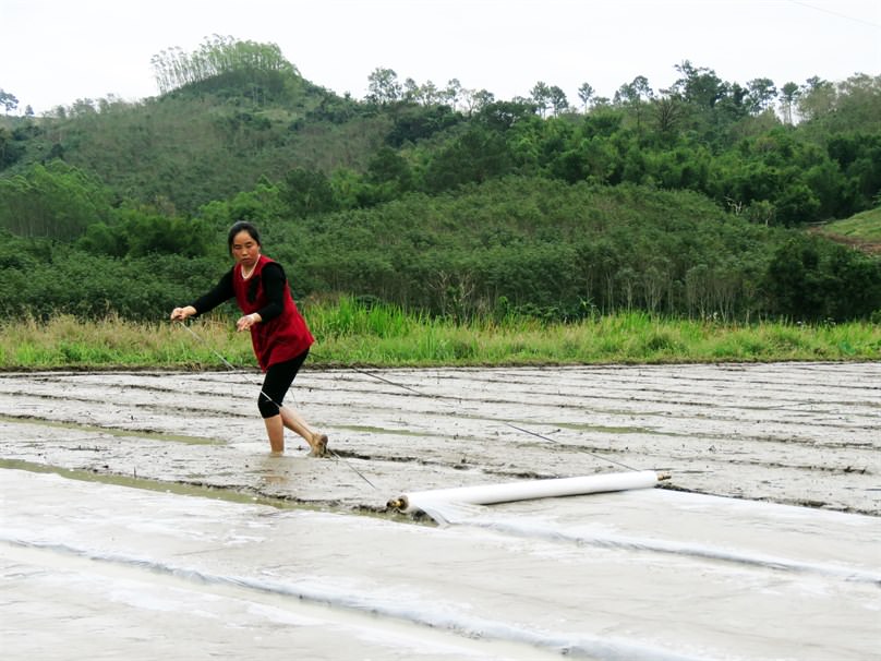 How to feed a booming population sustainably?