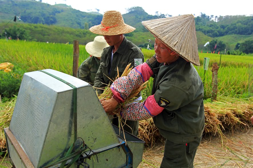 By using plant stalks that would otherwise be tossed as mulch, the process sequesters carbon, increases soil organic matter and cuts the use of fertiliser.