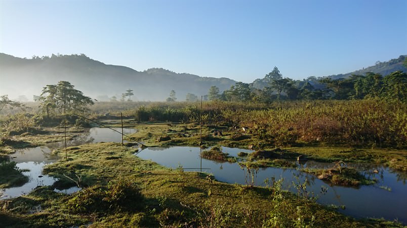 Nabang, a bustling avian haven in southwestern Yunnan, is one of the few places in China where you can see the Baya Weaver regularly.