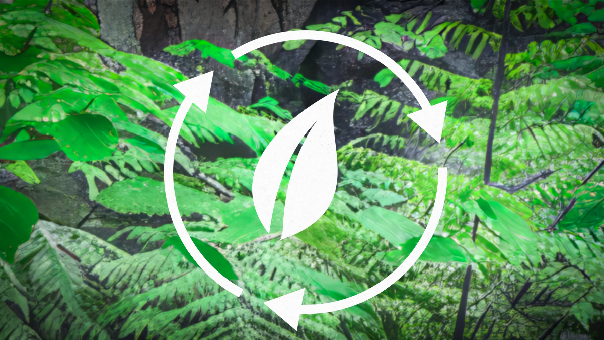 建立可持續未來