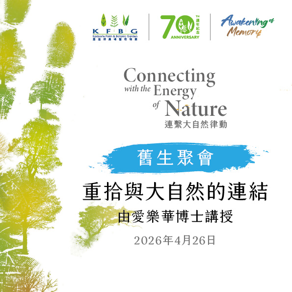 舊生聚會宣傳圖：水彩樹影配聚會名稱