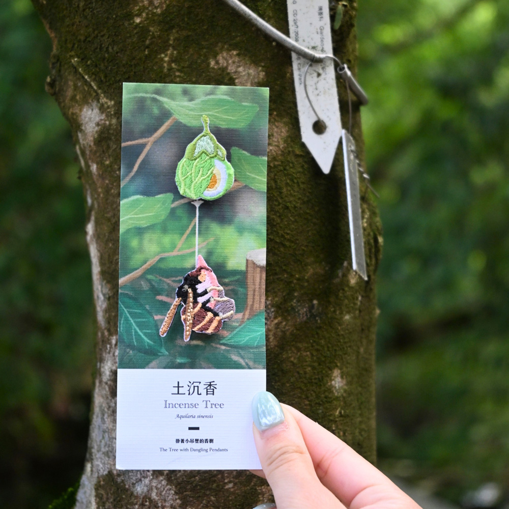 小木夾夾在一幅裱框相片的邊角上