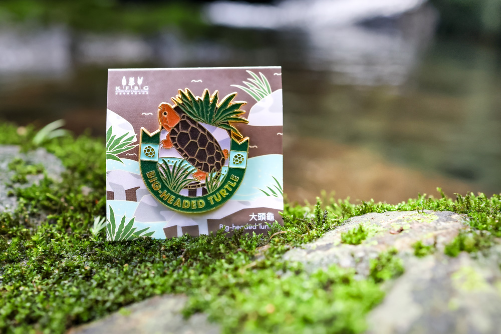 The Big-headed Turtle pin on its backing card, resting on a moss-covered rock by a stream