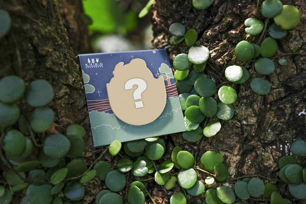 The mystery pin, a blank gold silhouette with a question mark, on its night-sky backing card tucked among round-leaved vines on a tree trunk