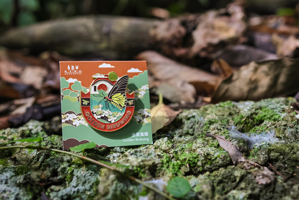 The Golden Birdwing pin on its backing card, set among mossy rocks and fallen leaves