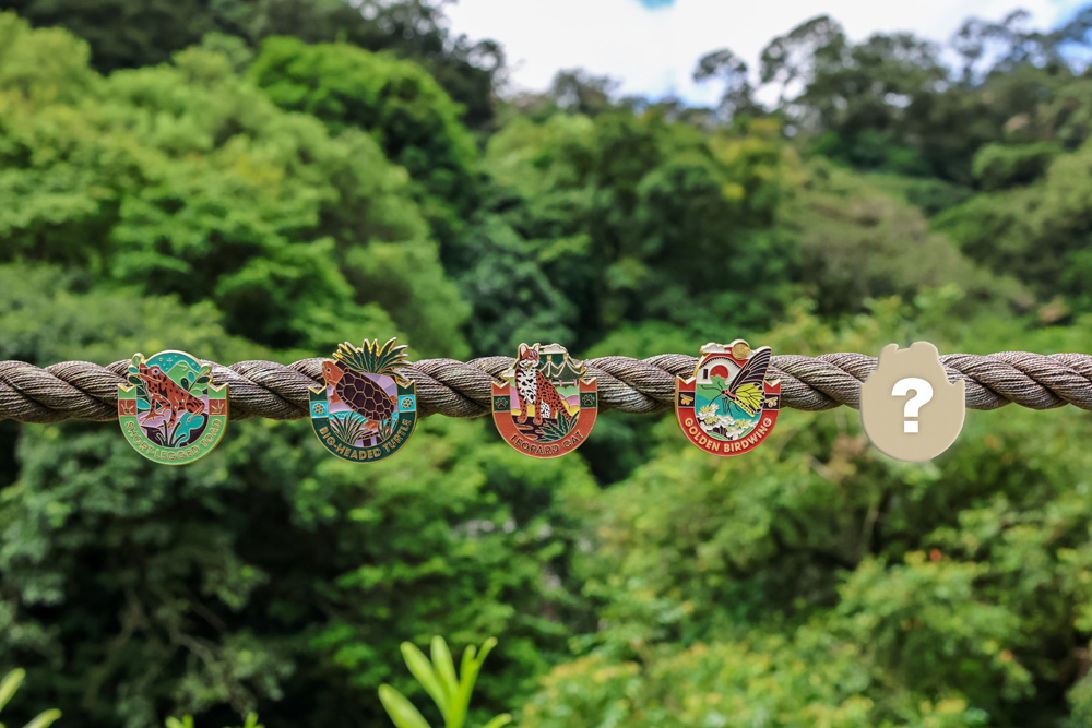 All four pins and the mystery pin clipped along a rope, with the KFBG hillside behind them