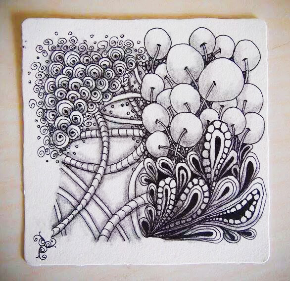 Zentangle in Nature (Group Application)::Kadoorie Farm and Botanic Garden