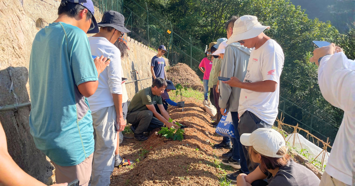 一班學員圍着導師，看他蹲在鋪了護根的梯田菜畦上種植幼苗