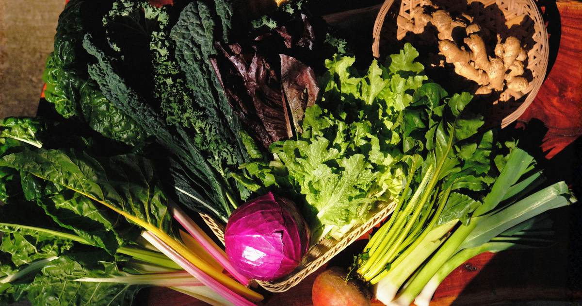 A spread of freshly harvested vegetables including kale, chard, lettuce, red cabbage, spring onions and ginger