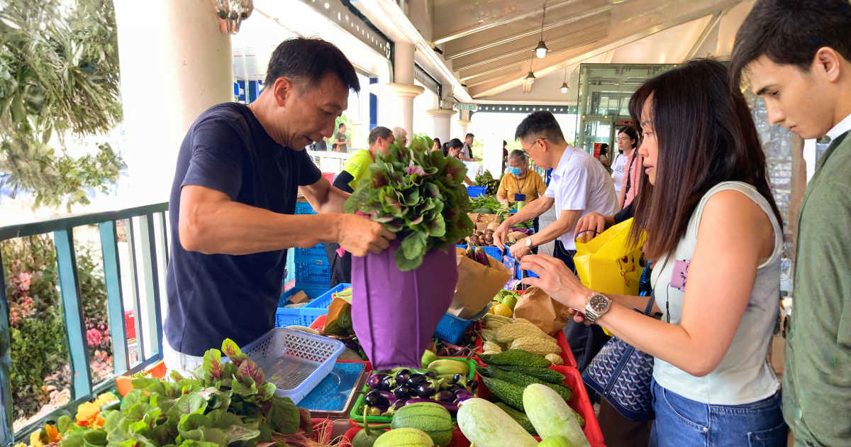 A farmer bagging leafy greens for customers at a produce stall on the pier