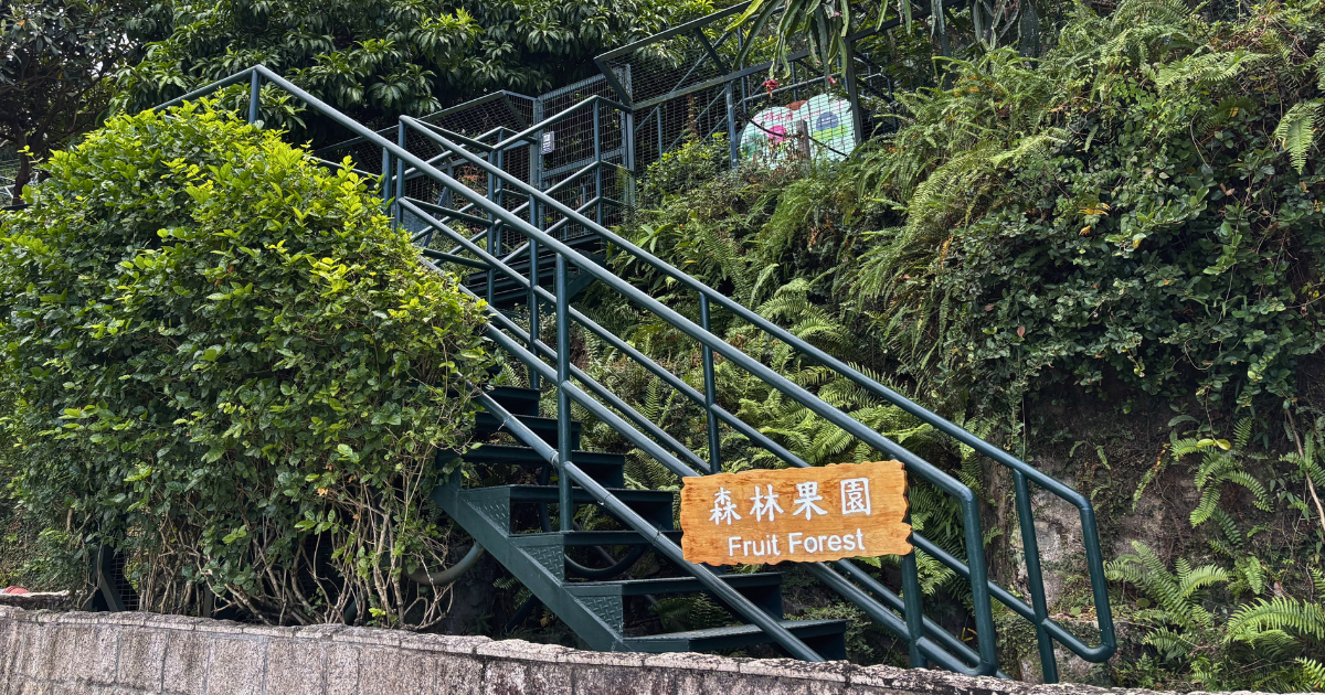Metal steps leading up into the Fruit Forest, with a wooden signboard reading Fruit Forest in Chinese and English