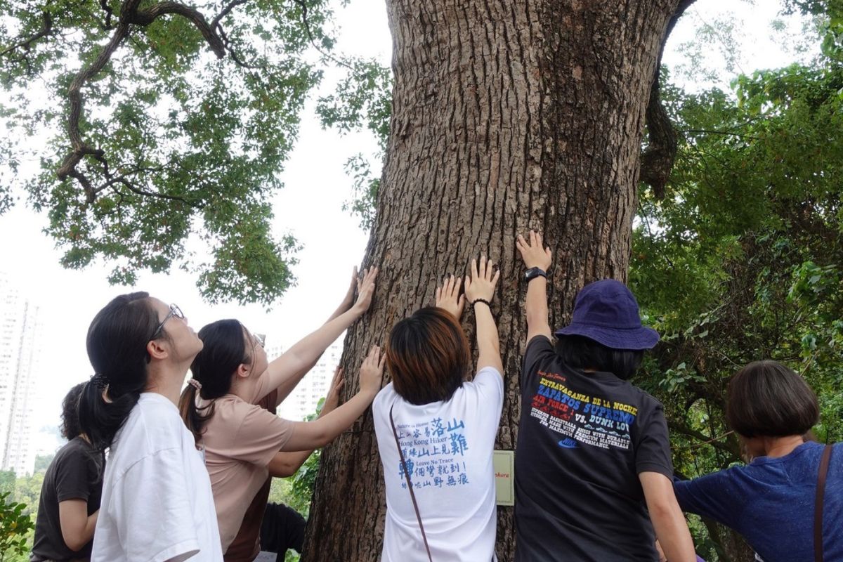 Nature movement workshop connects participants with heritage trees at Green Hub