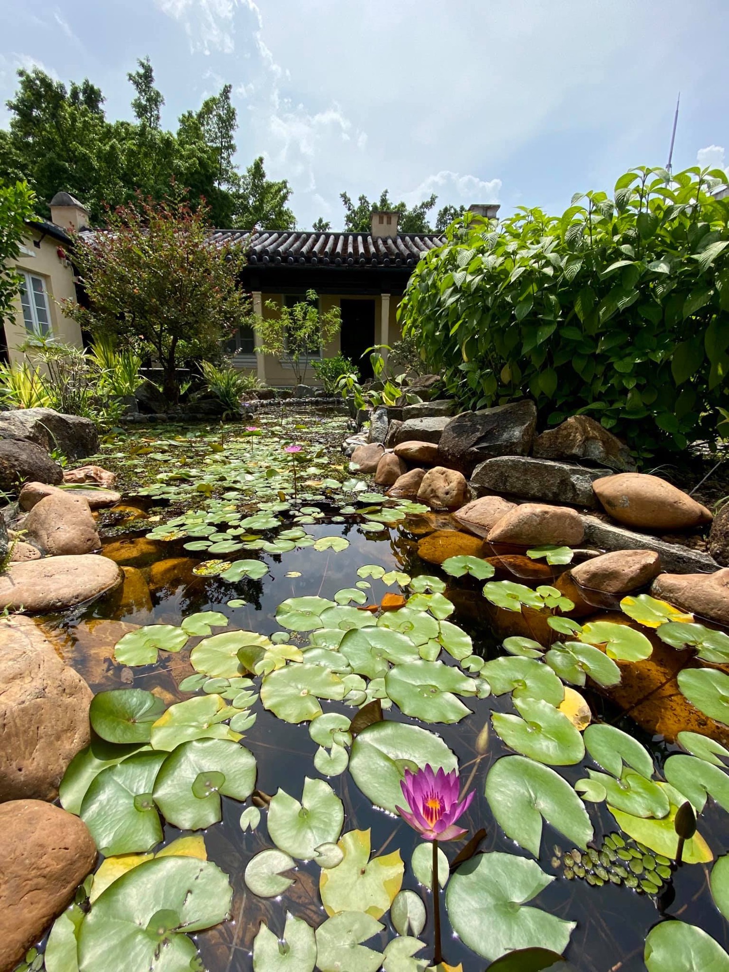 The Green Hub project enhances ecological friendliness of the heritage gardens