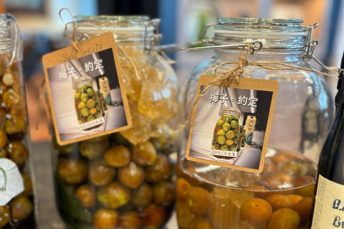 Beverage making workshop with plum in season