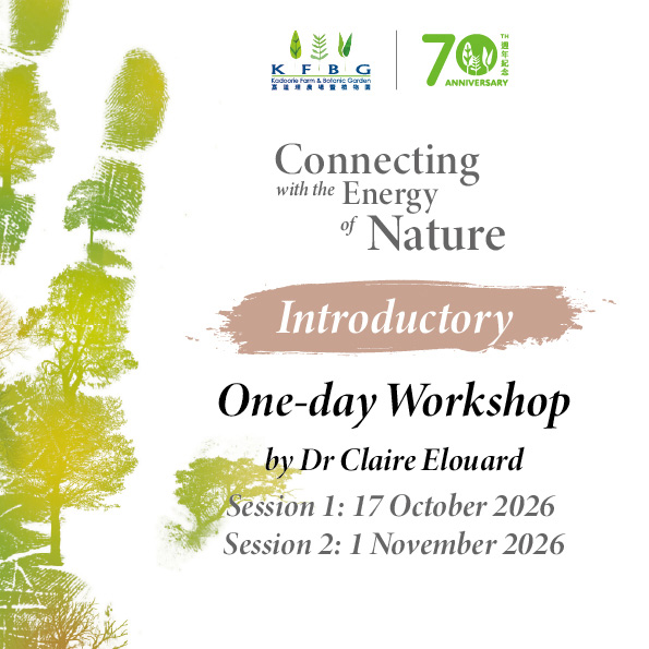 Introductory workshop tile: watercolour tree silhouettes beside the series title and the two session dates