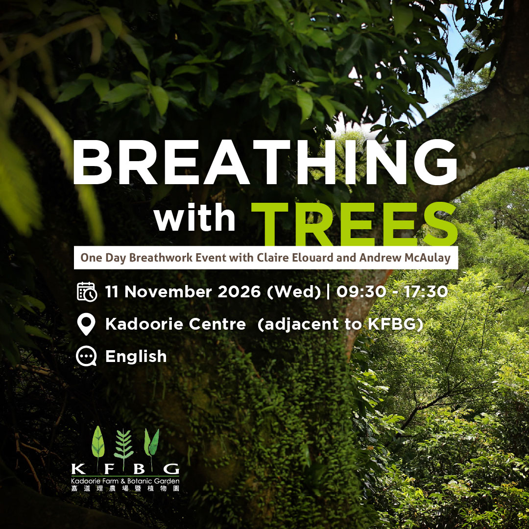 Breathing with Trees tile: a vine-covered tree trunk in dense green forest, with the event title over it