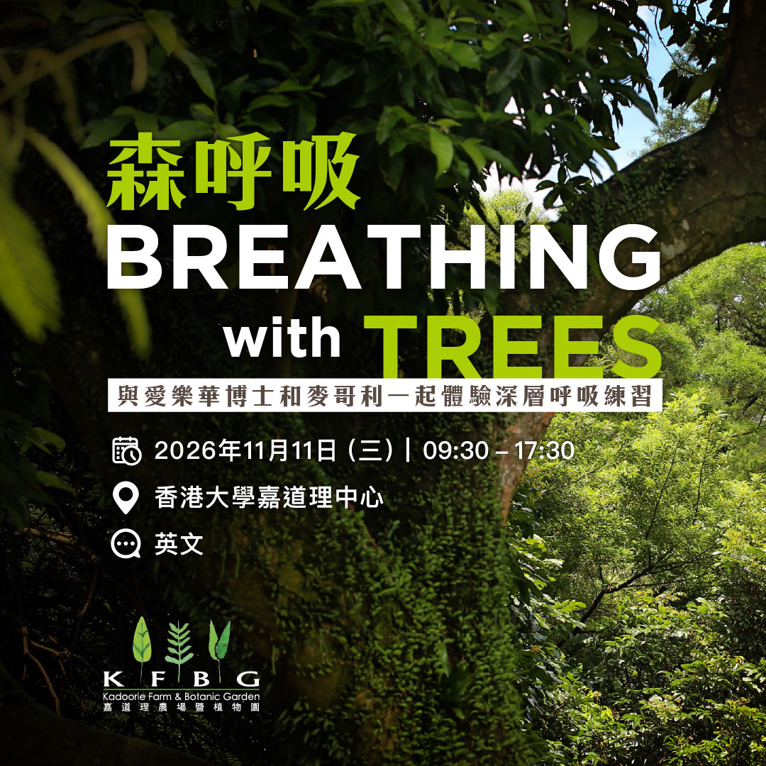 森呼吸宣傳圖：密林中爬滿藤蔓的樹幹，上面印著活動名稱