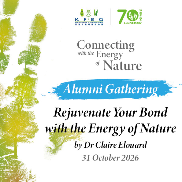 Alumni gathering tile: watercolour tree silhouettes with the gathering title