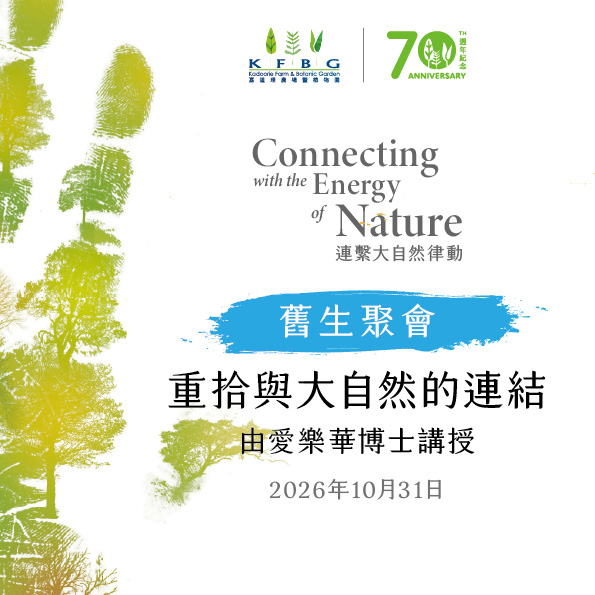 舊生聚會宣傳圖：水彩樹影配聚會名稱