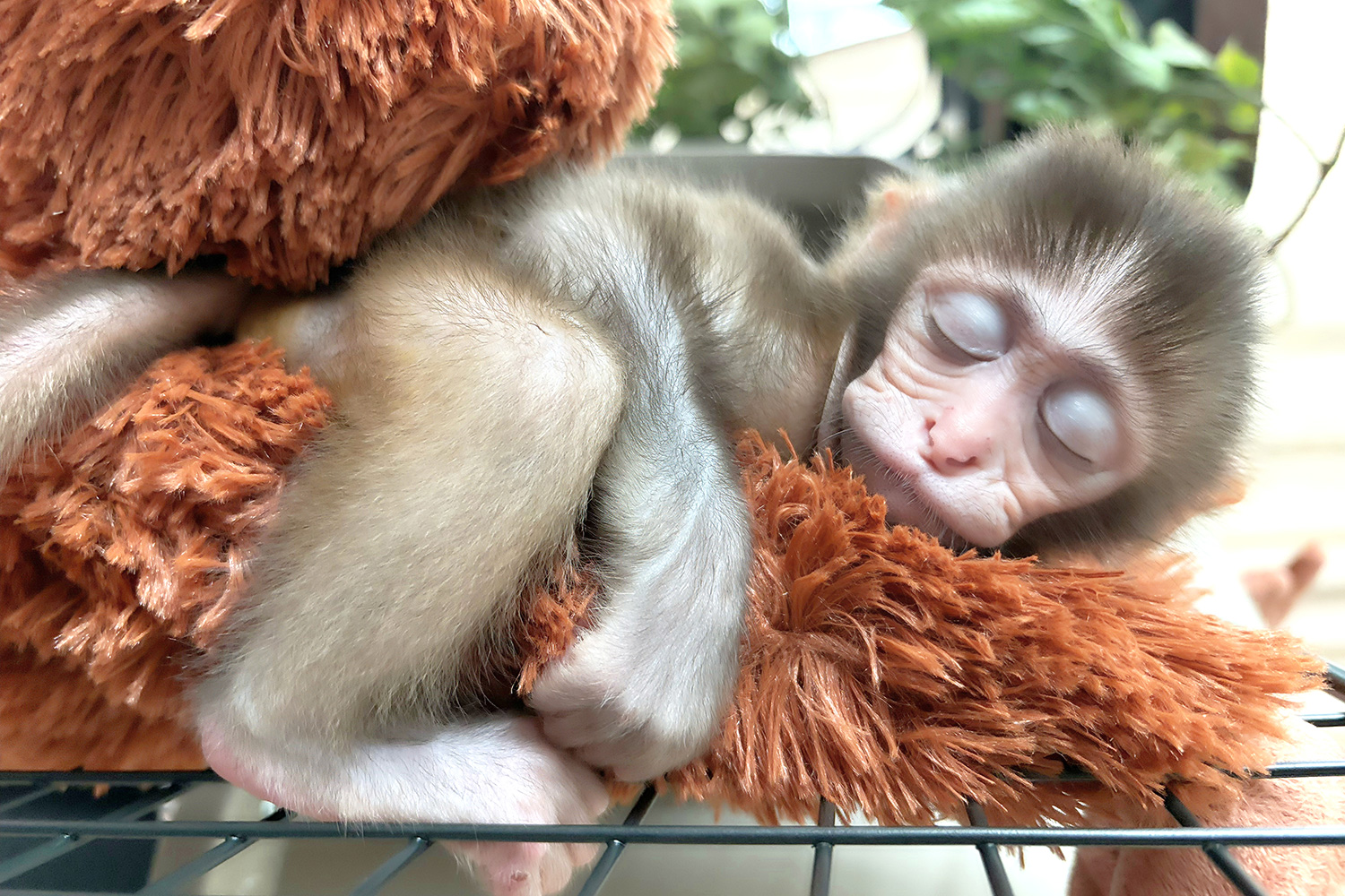 親子即日門票參觀​