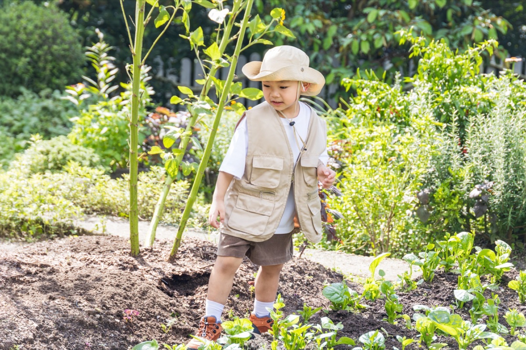 Summer Farm Fun